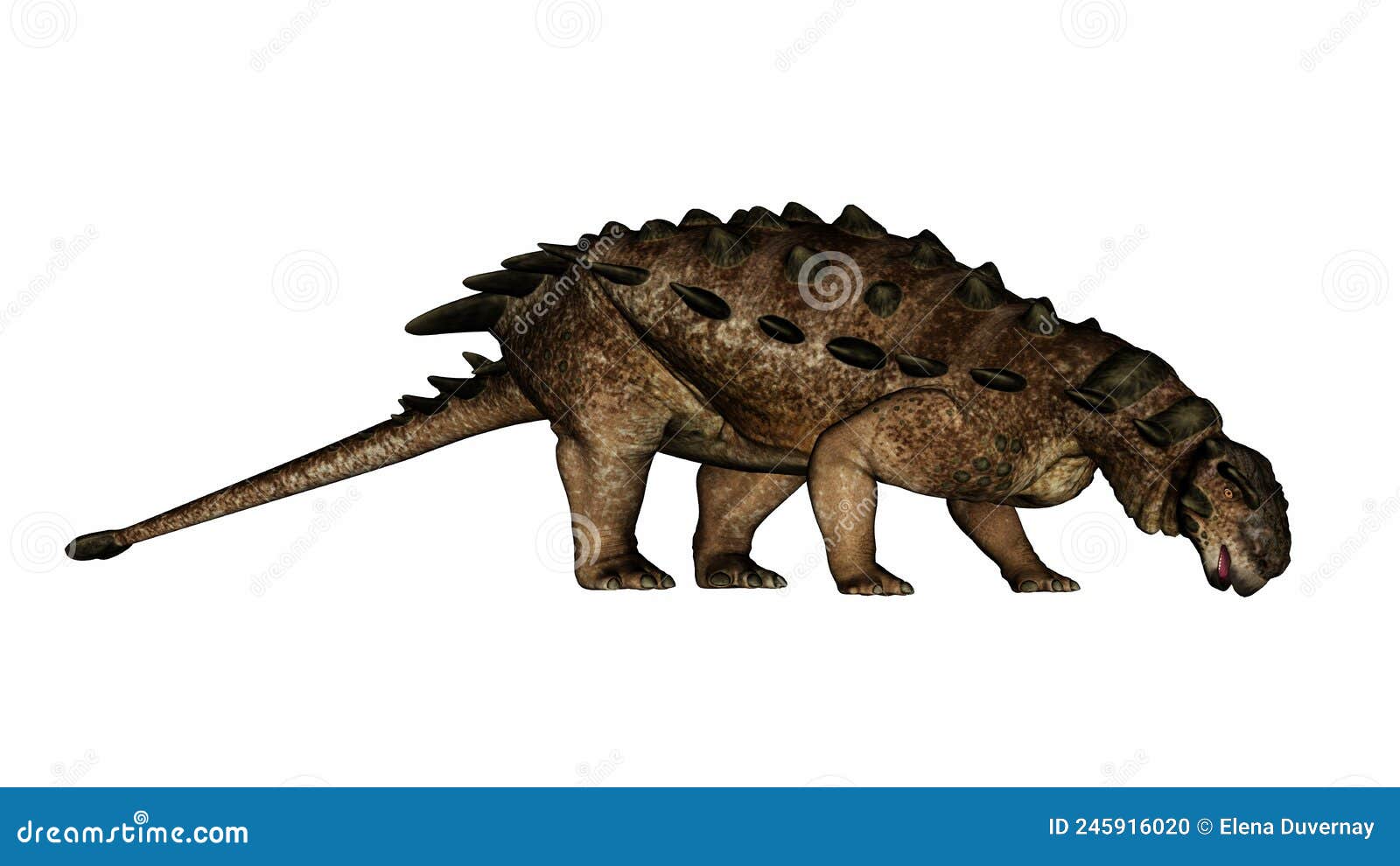 pinacosaurus dinosaur eating or drinking - 3d render