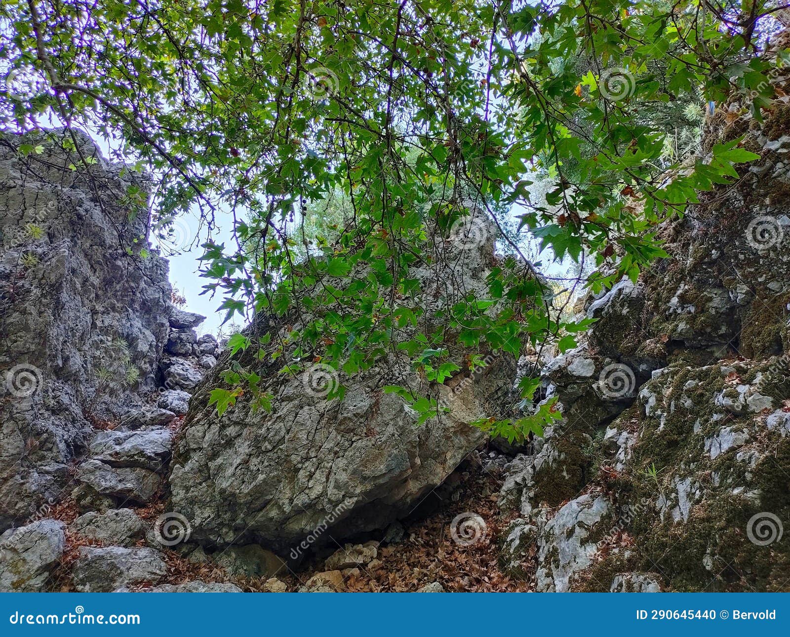 pinara ruins of an ancient city near fethiye, mugla, tÃ¼rkiye.