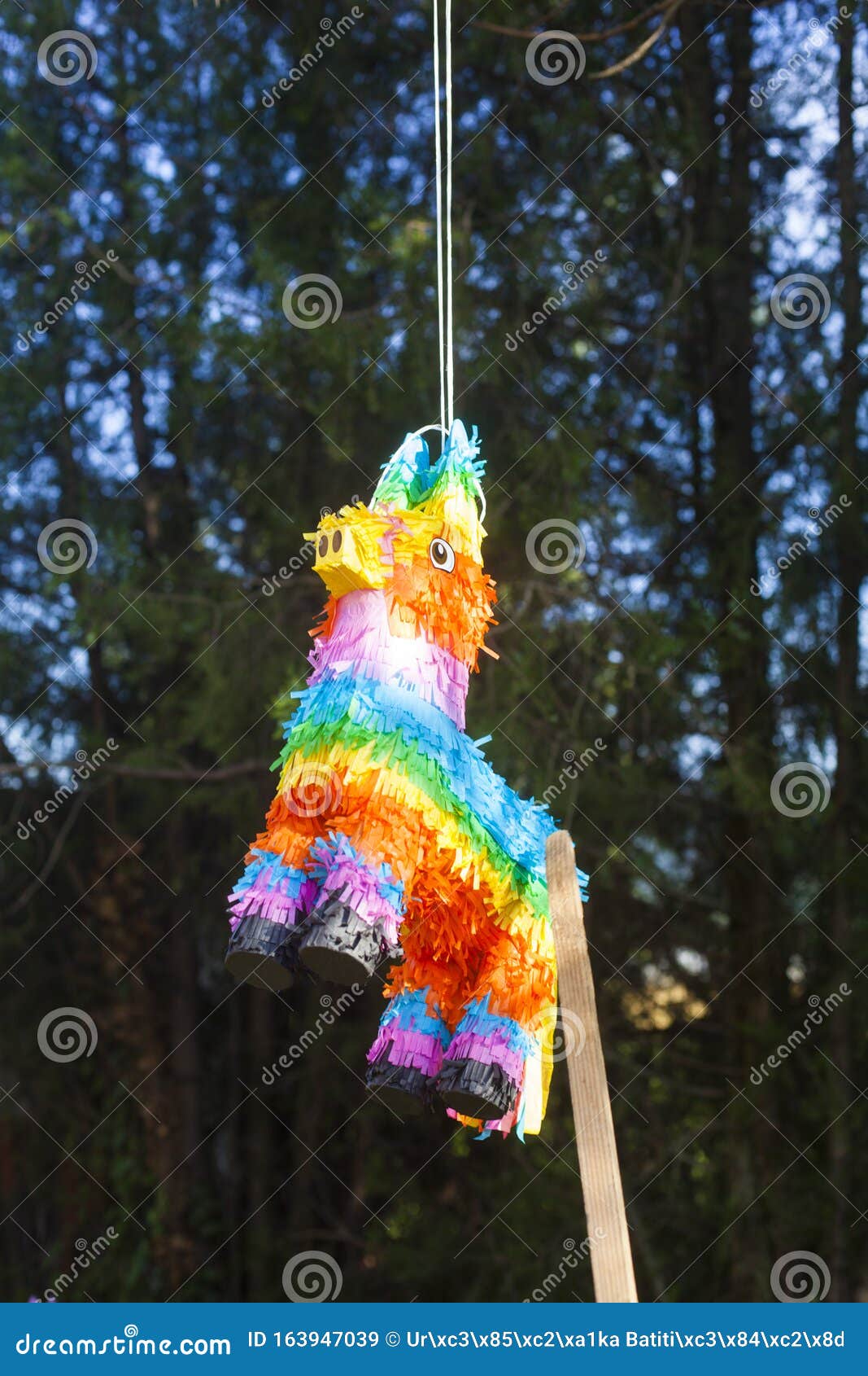 Pinata stock image. Image of gift, forest, culture, celebration