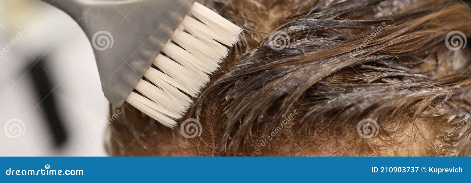 Pincel Gris Aplicar Tinte De Cabello a La Cabeza Cerca. Imagen de archivo -  Imagen de fondo, objeto: 210903737