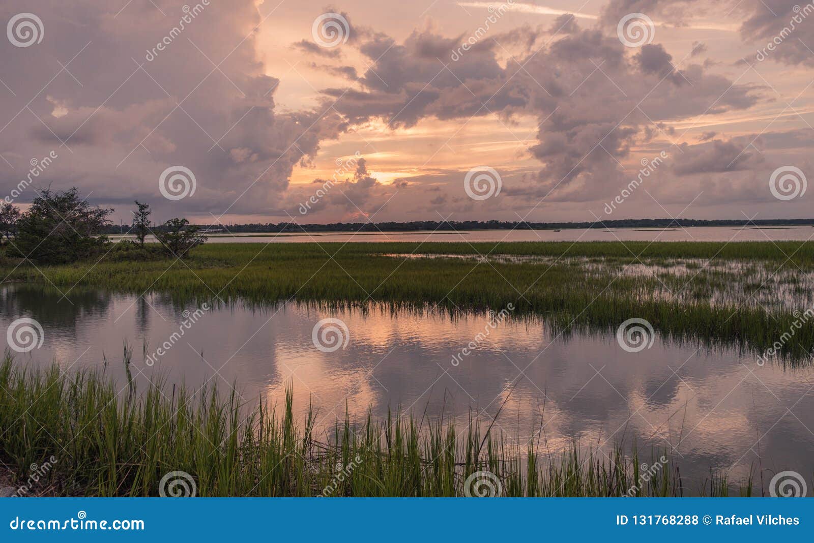 pinckney island nature reserve