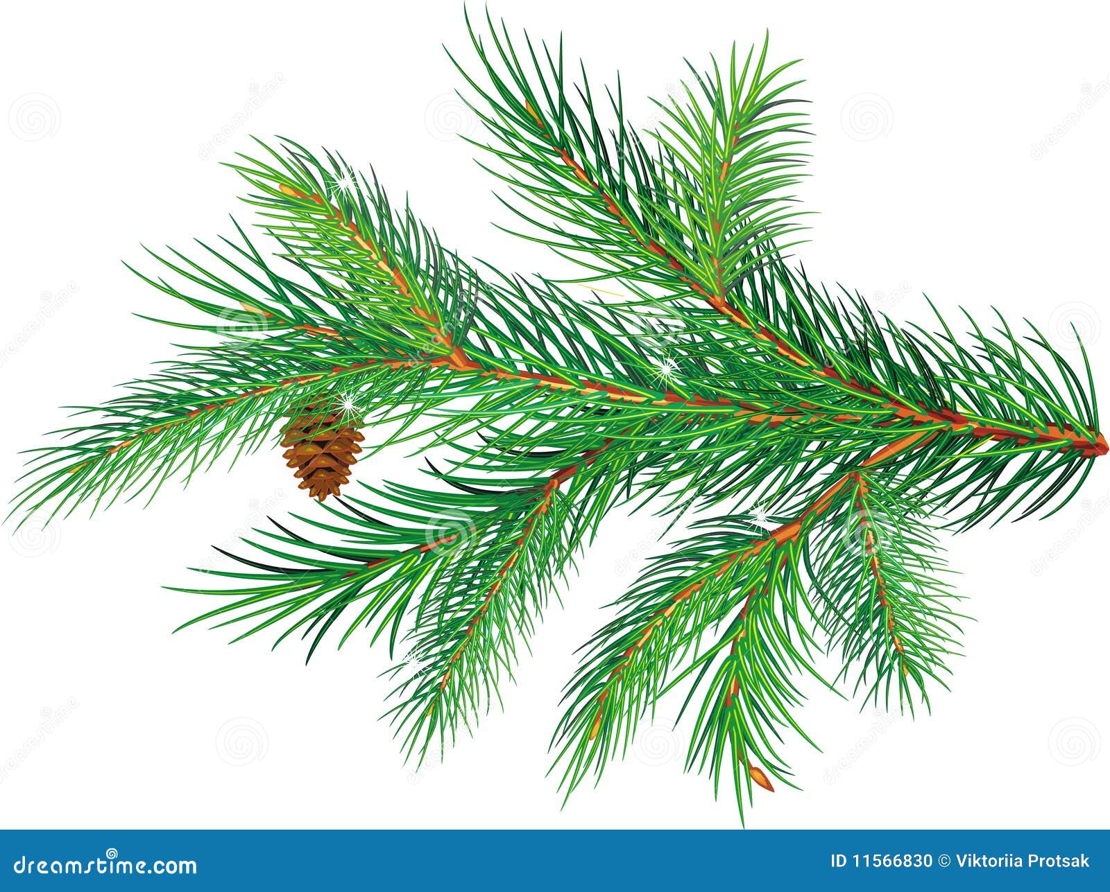 pine branch