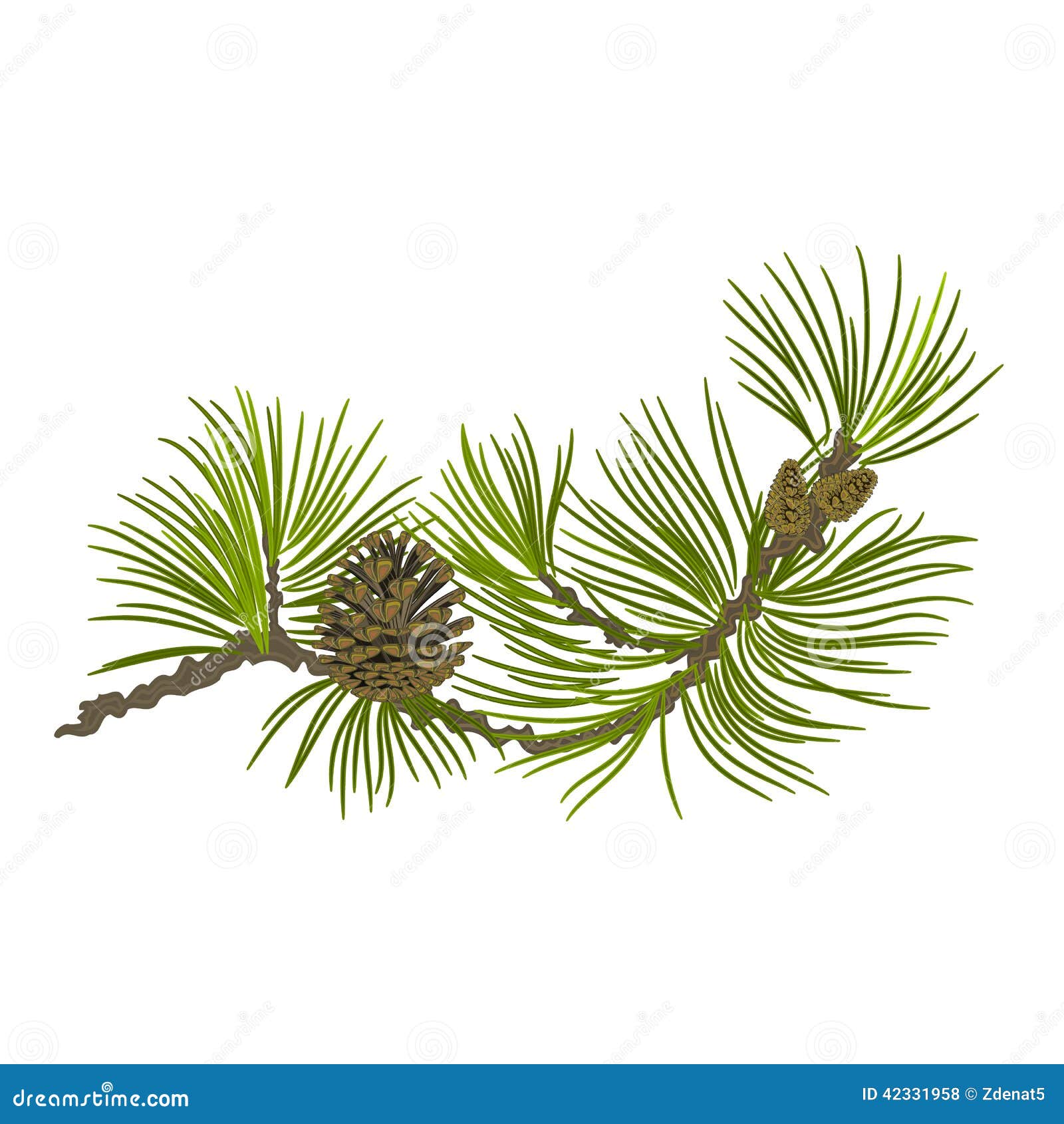 pine tree branch clip art