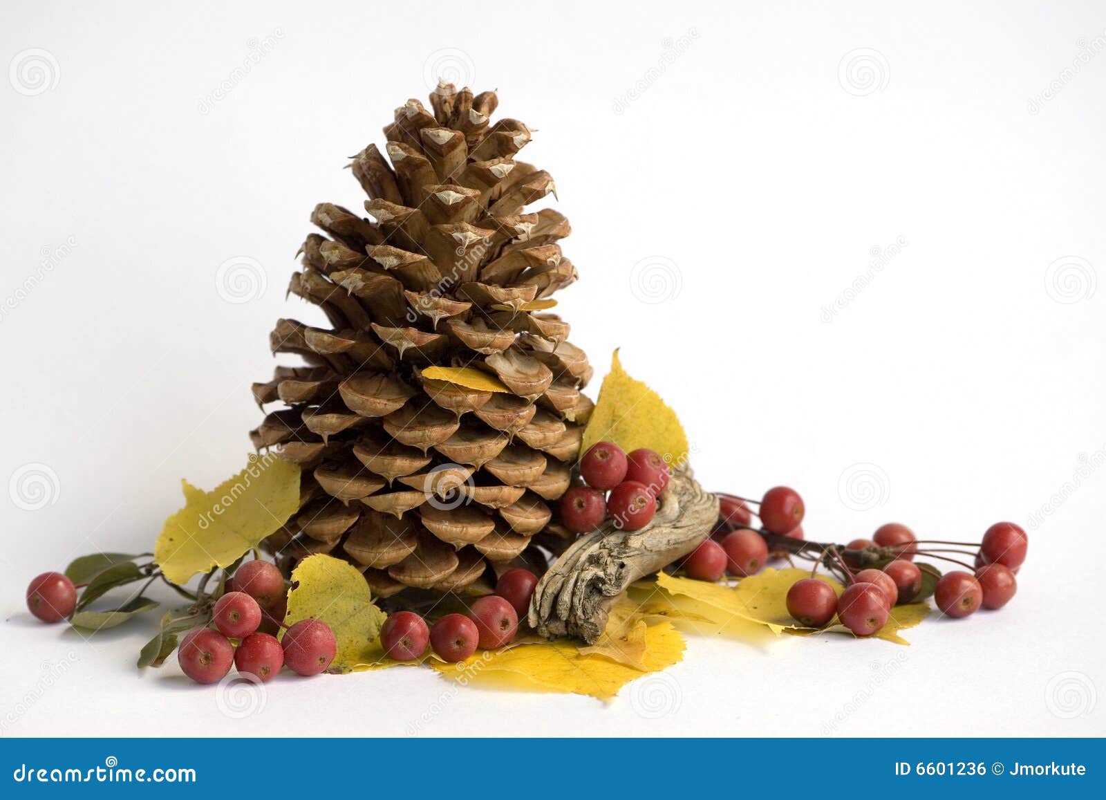 pine cone with berries