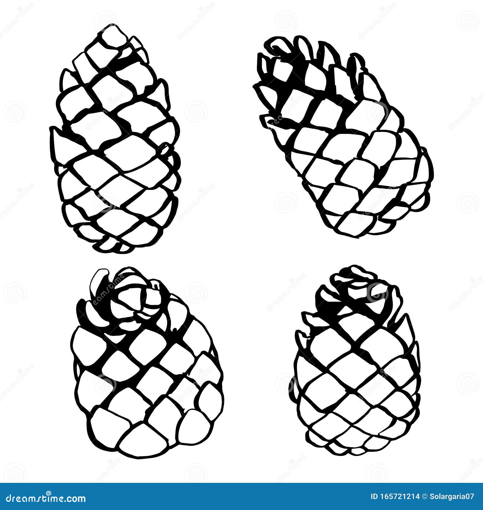 Pine Cone Set Hand Drawn Vector Illustration Stock Vector