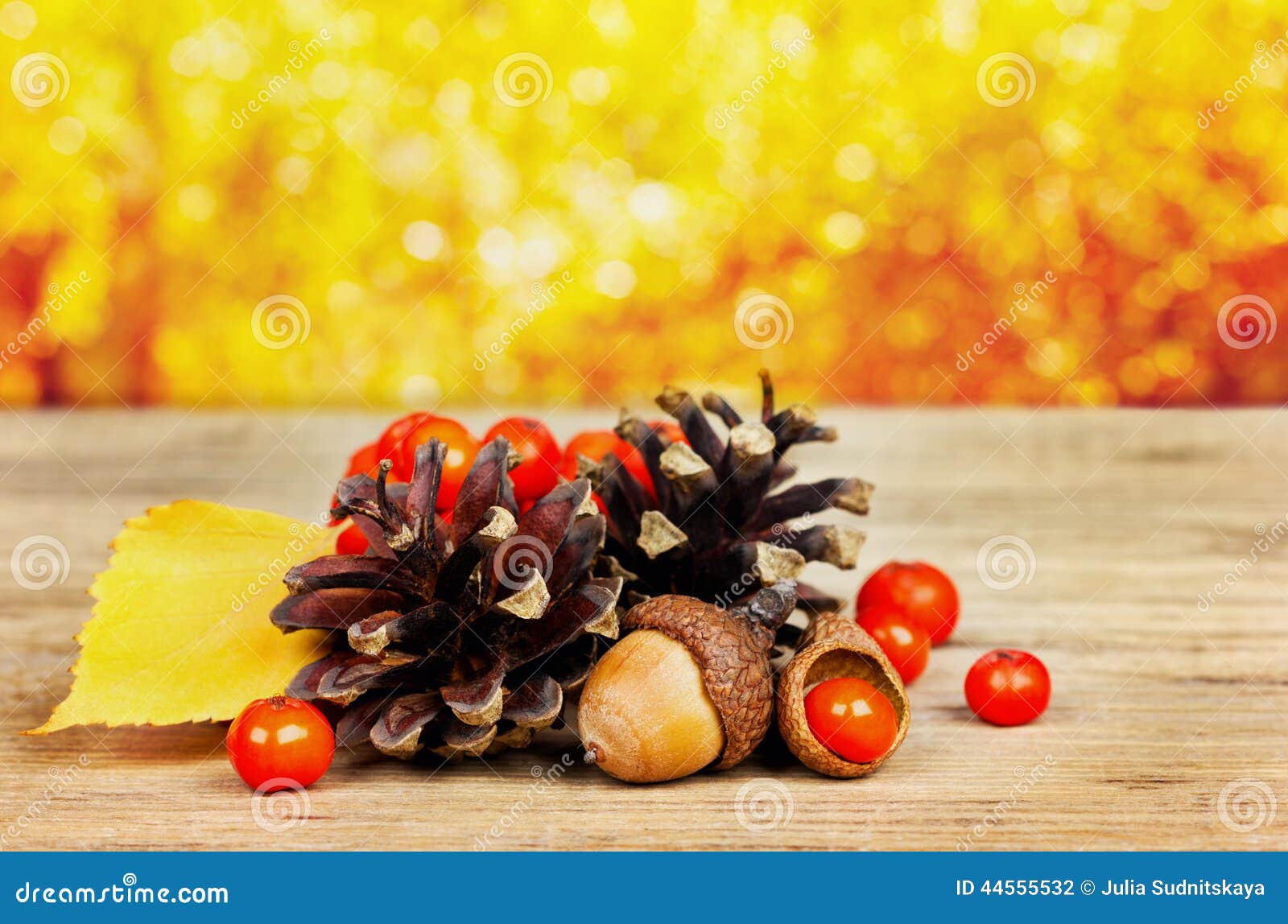 pine cones, oak acorn and rowanberry on wooden board against bokeh background