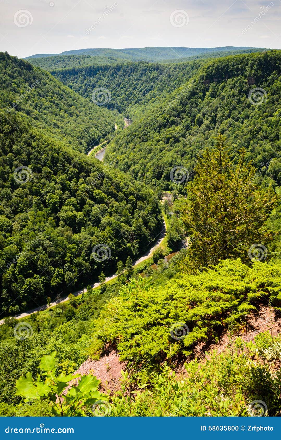 Pine Creek stock photo. Image of state, states 68635800
