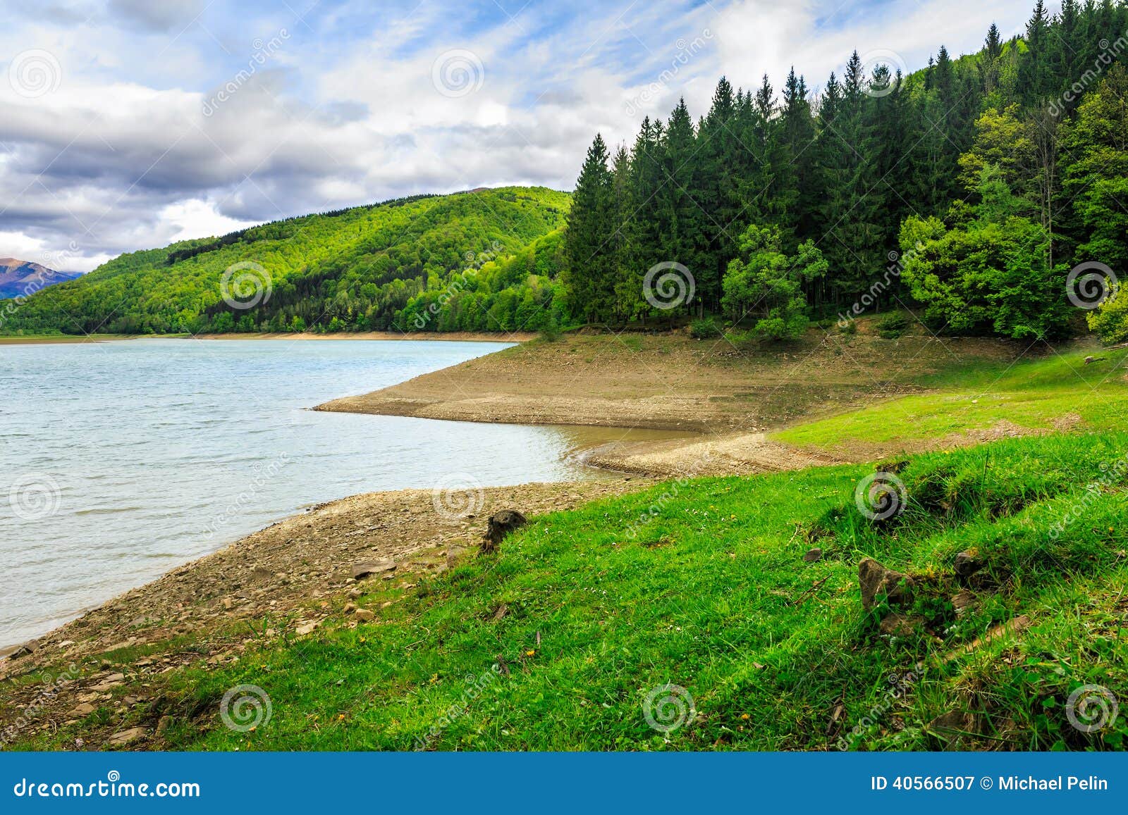 Pine Forest and Lake Near the Mountain Stock Image Image of grass