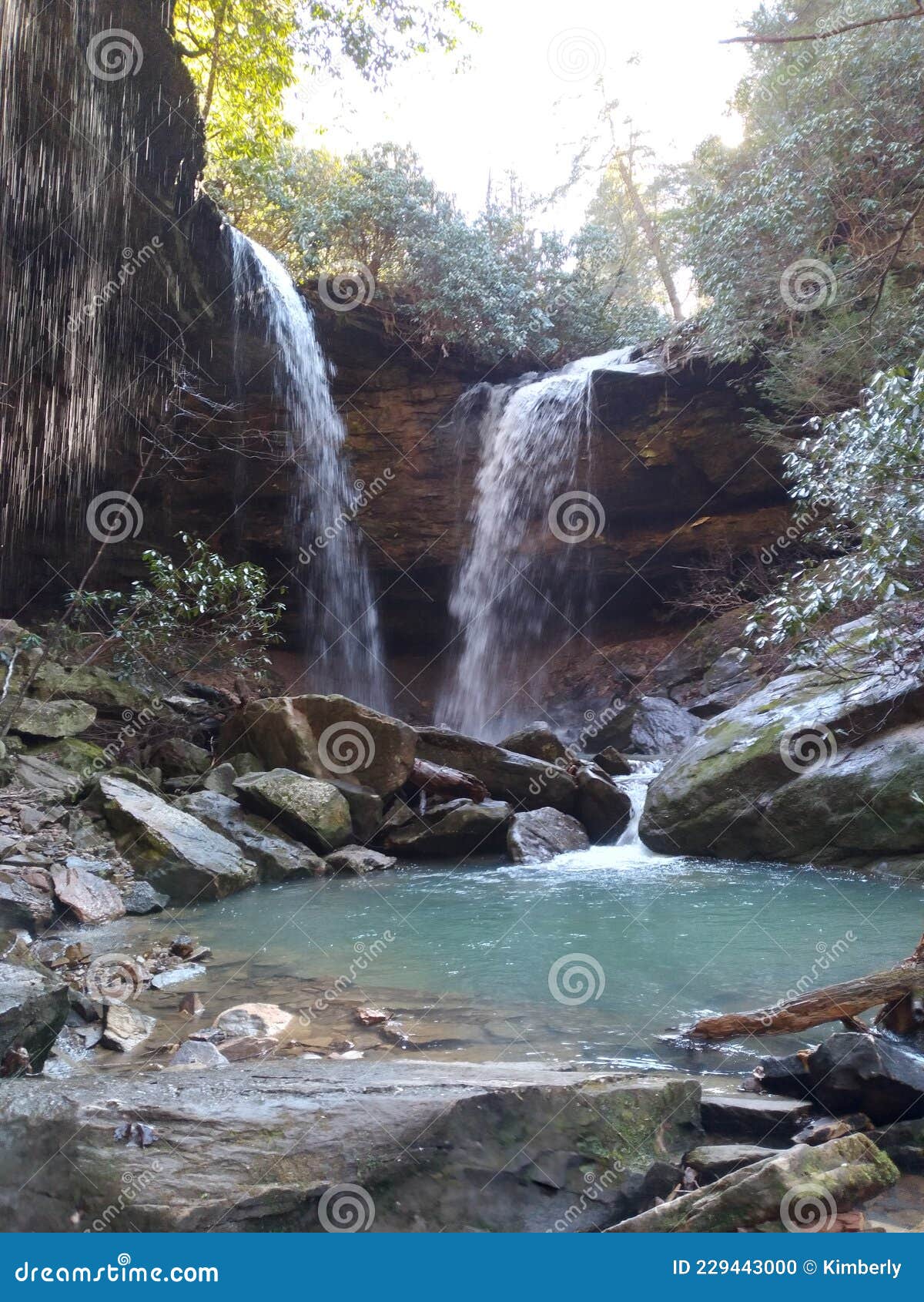 Pine island double falls stock photo. Image of forest 229443000