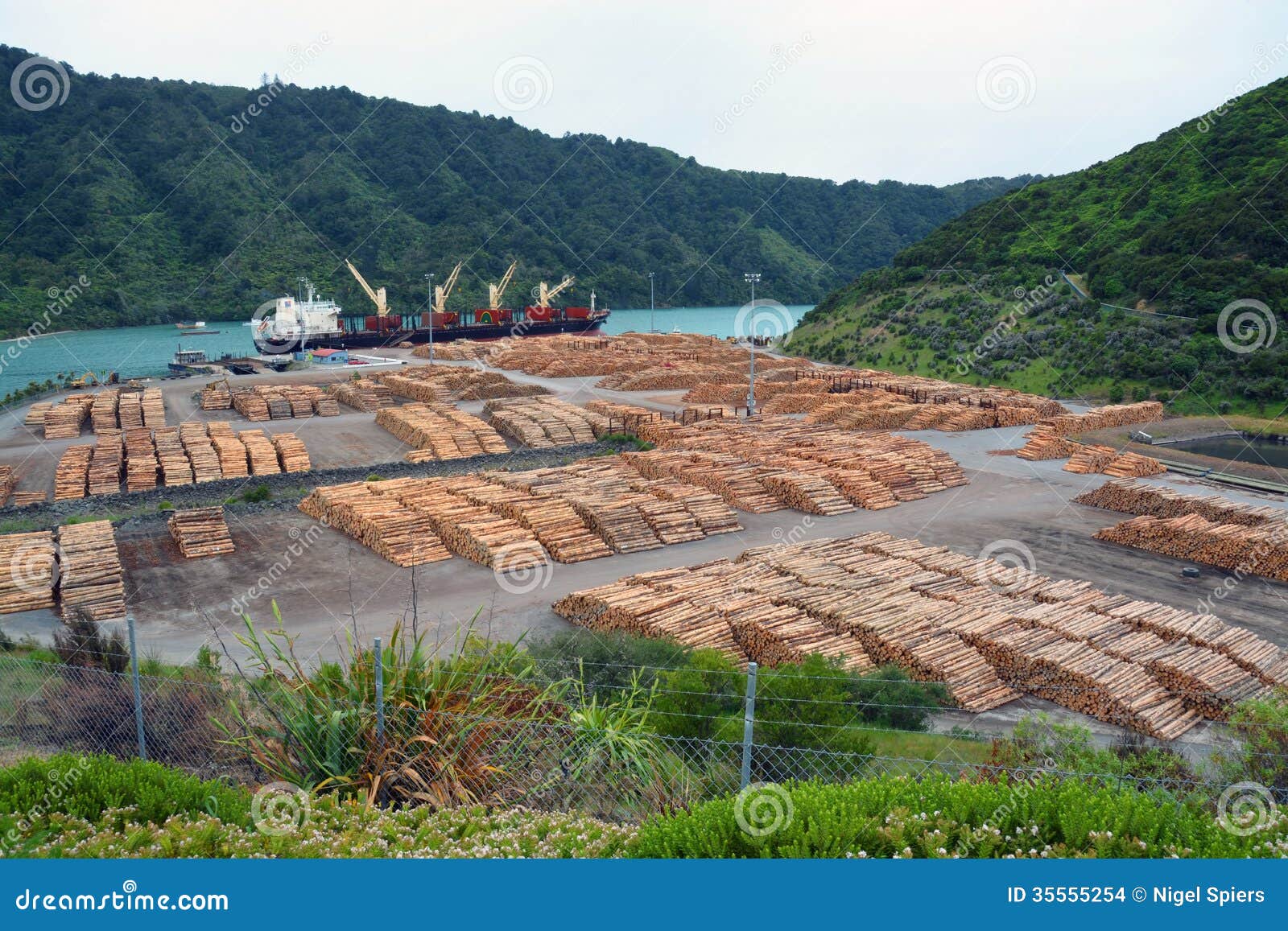 pine log exporting at picton, new zealand