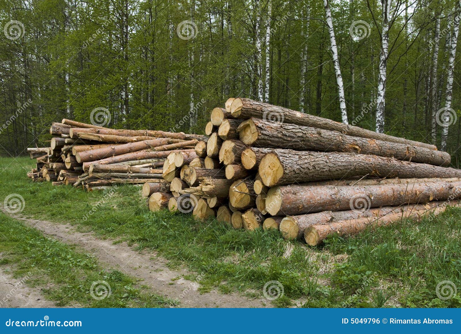 Pine logs stock photo. Image of logs, harvest, background 5049796