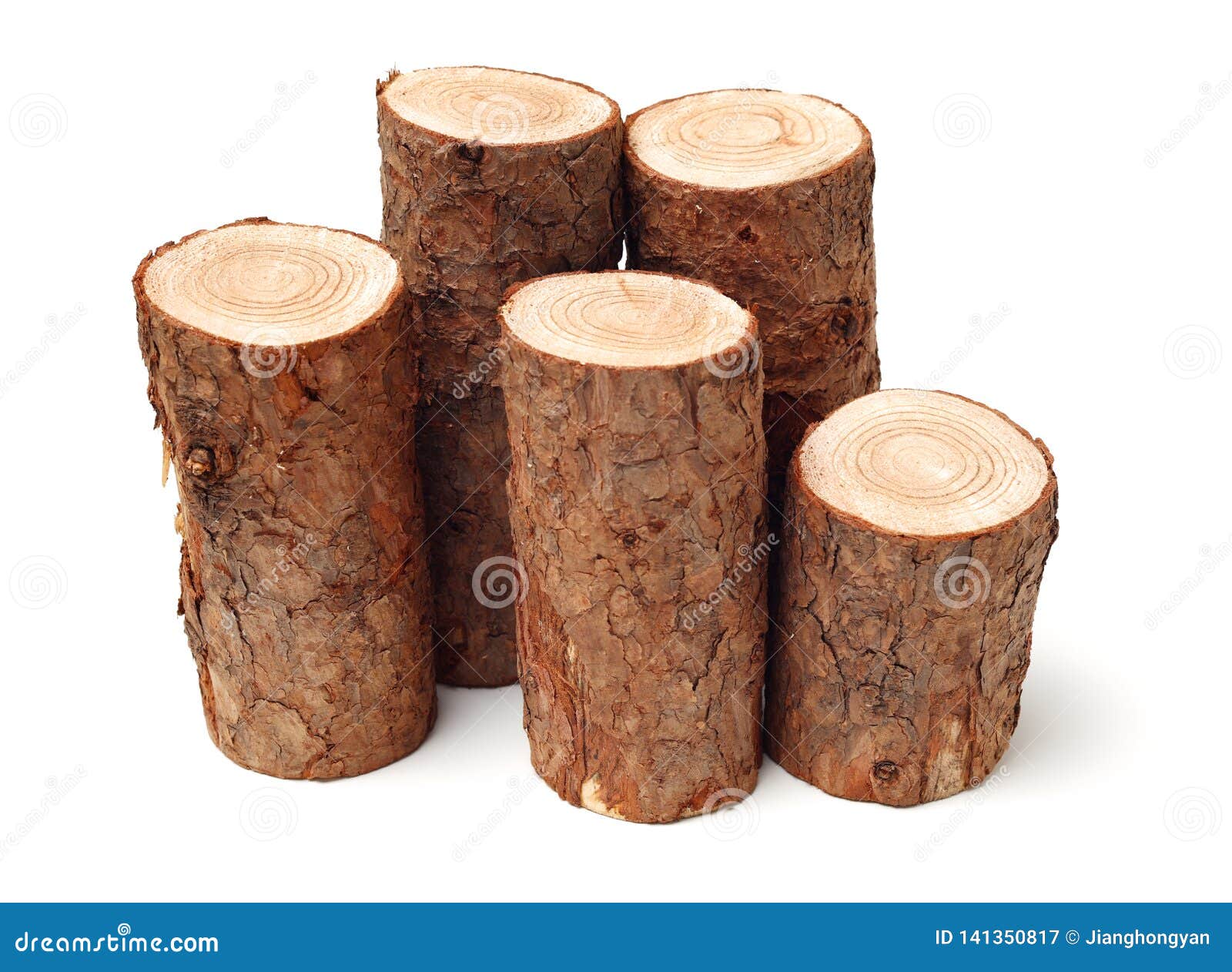 Pine logs stock image. Image of fuel, chop, damage, deforestation