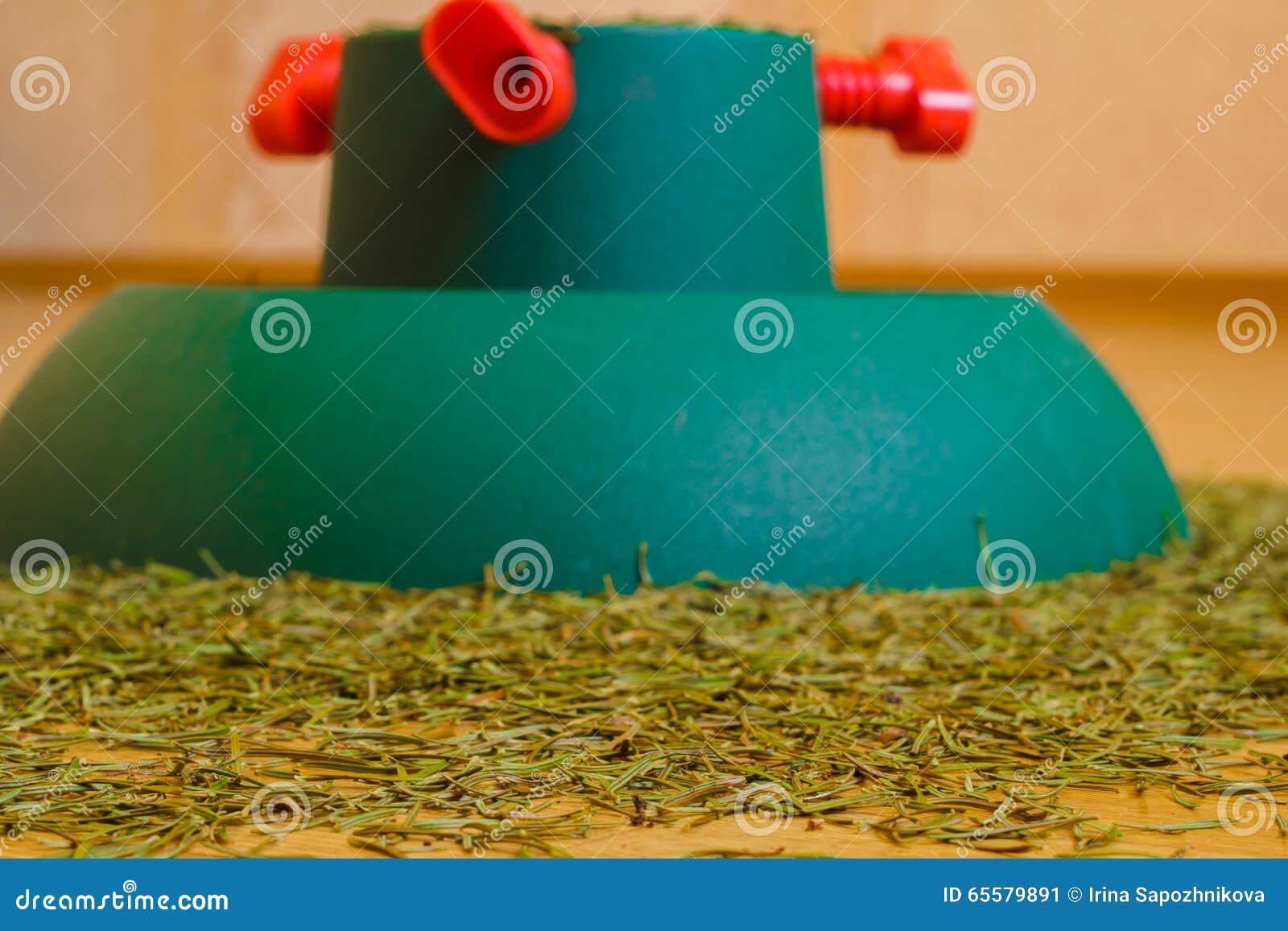 Pine Needles from the Christmas Tree Stock Image Image of dying