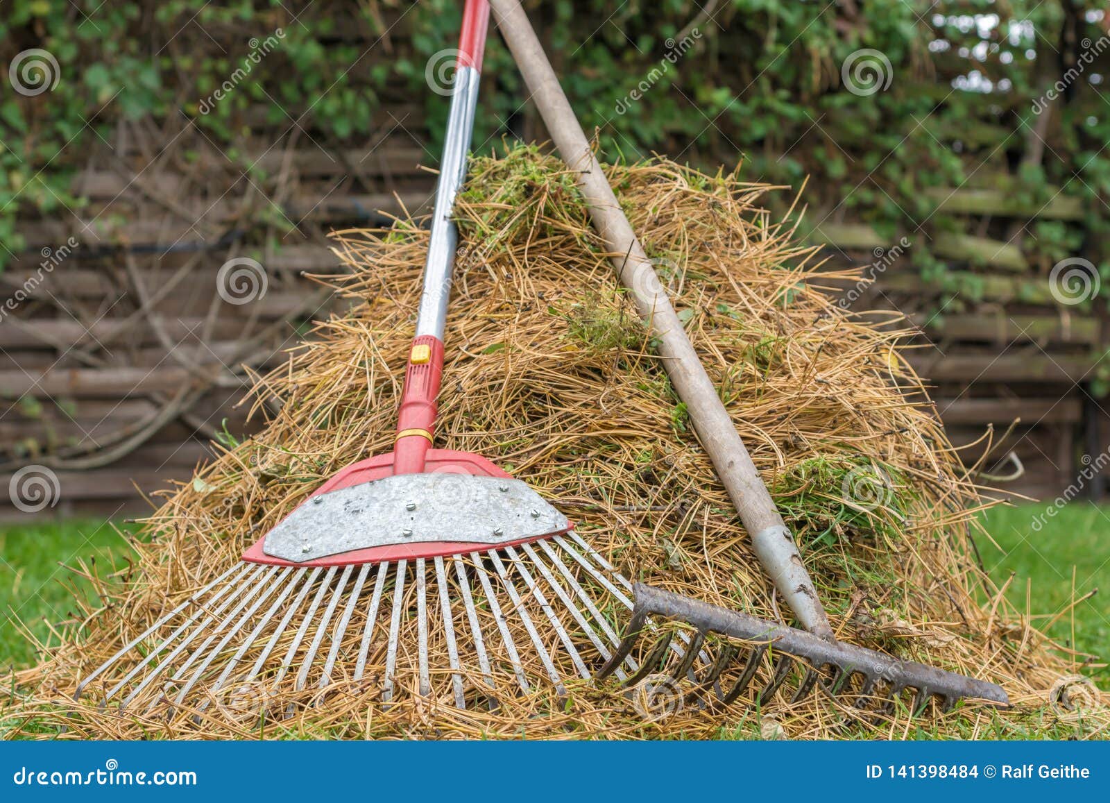 pine needles were raked together in a heap