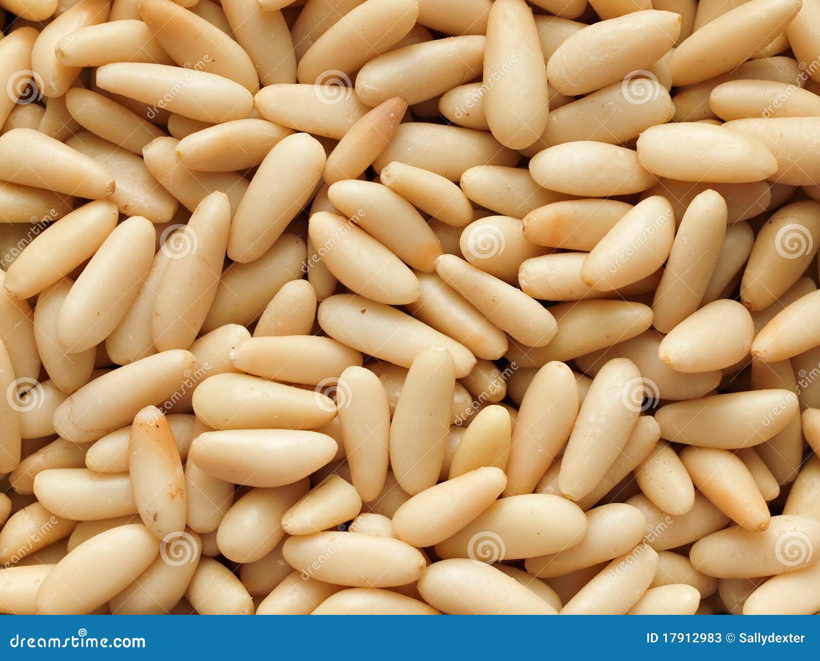 pine nuts close up