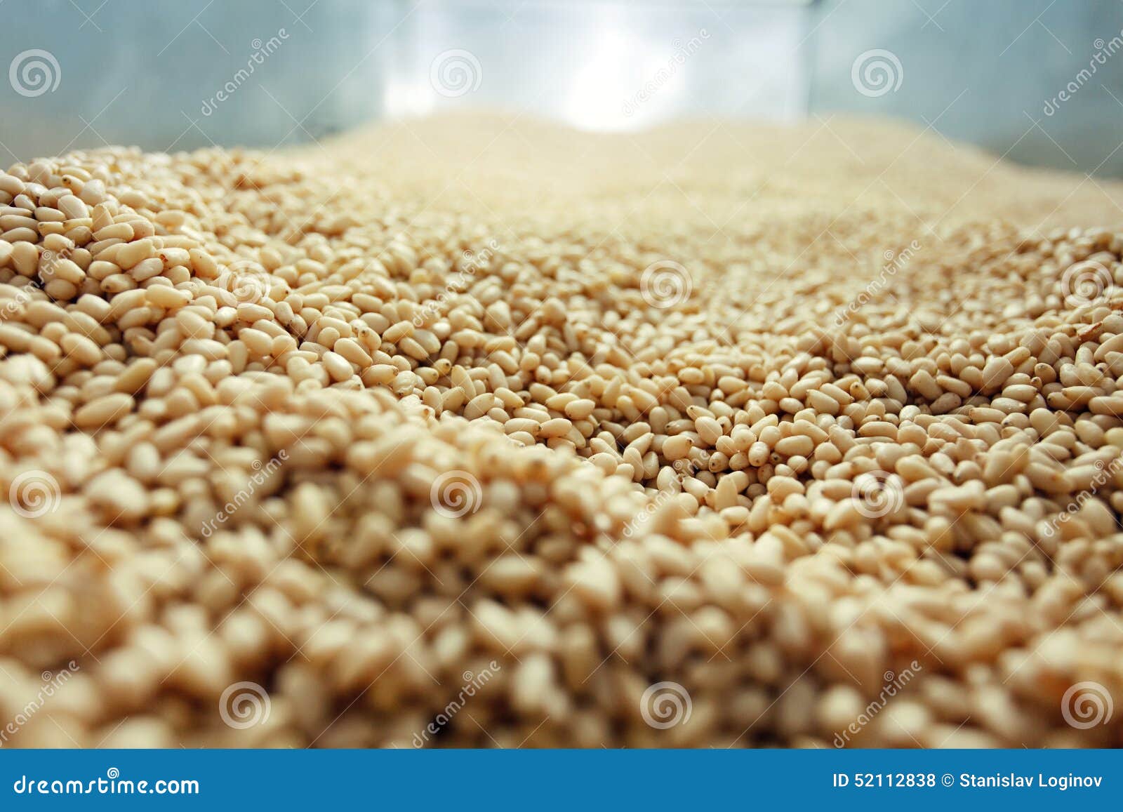 Pine Nuts Production Factory Stock Photo Image of production