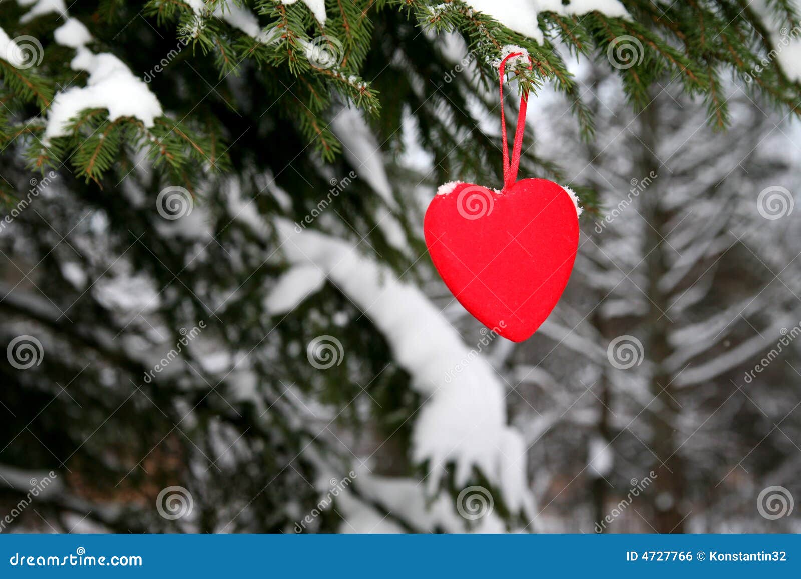 Pine and red heart stock photo. Image of chris, pine, receive - 4727766