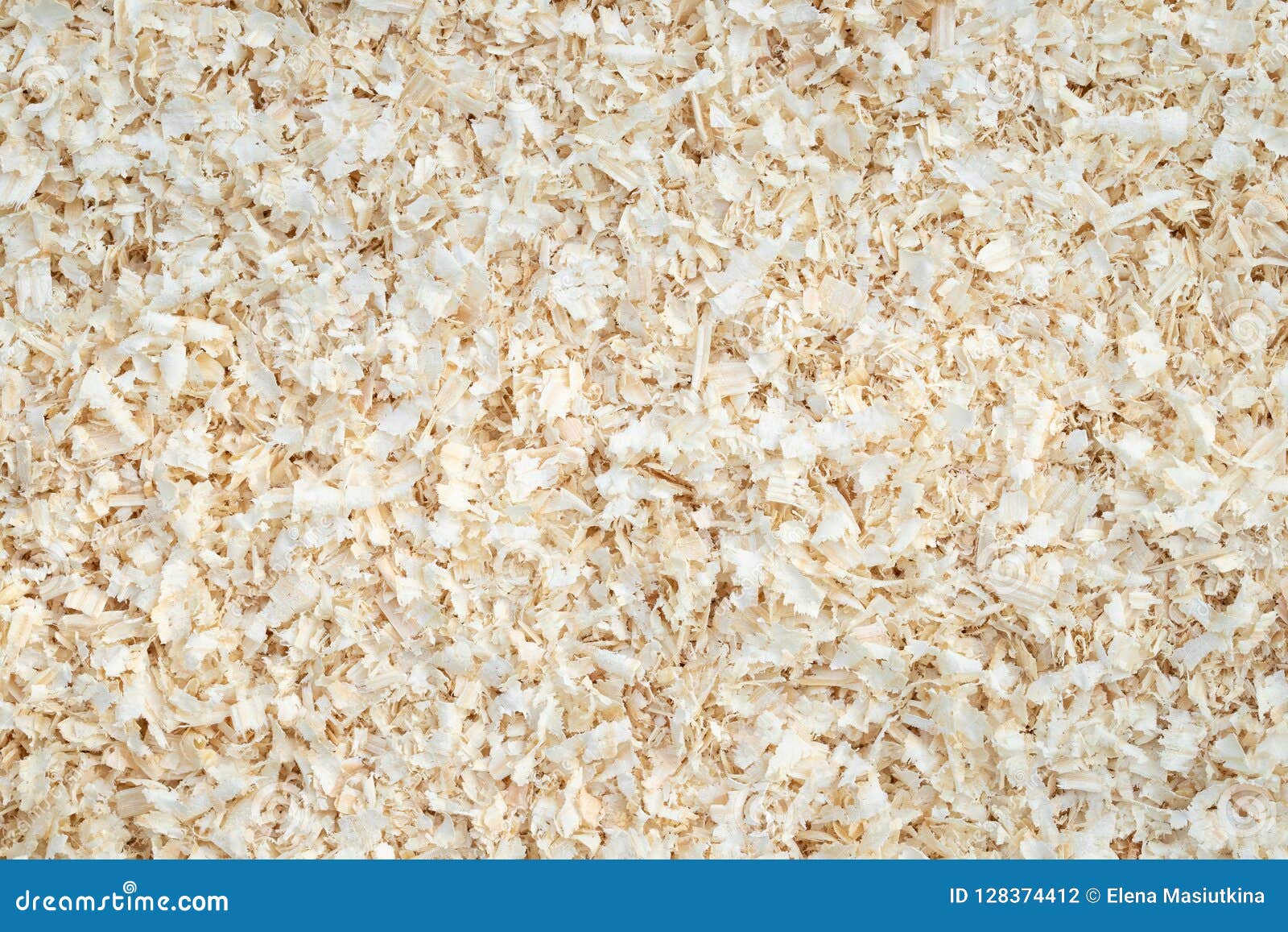 Pine Sawdust or Wood Dust of Young Pine Tree. Stock Photo Image of