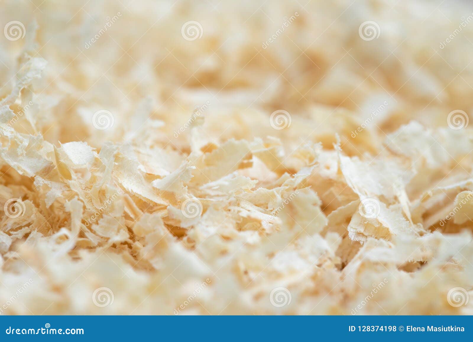 Pine Sawdust or Wood Dust of Young Pine Tree. Stock Photo Image of