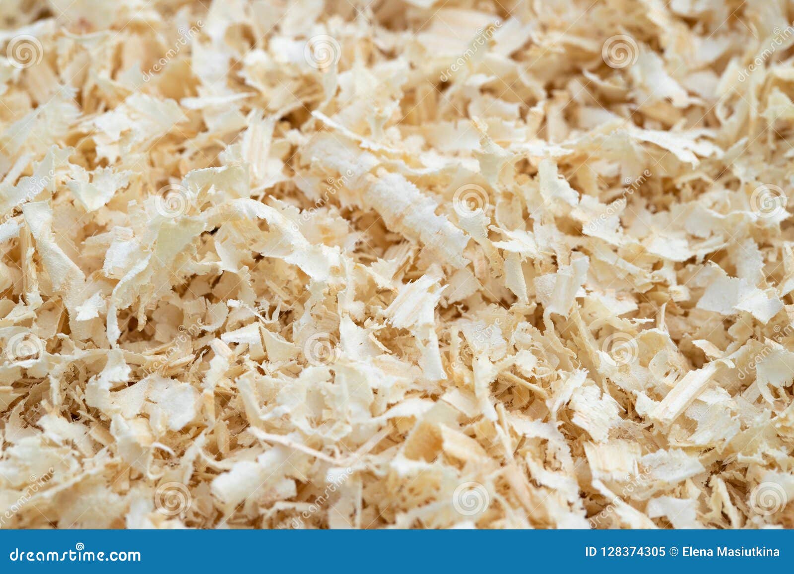 Pine Sawdust or Wood Dust of Young Pine Tree. Stock Image Image of