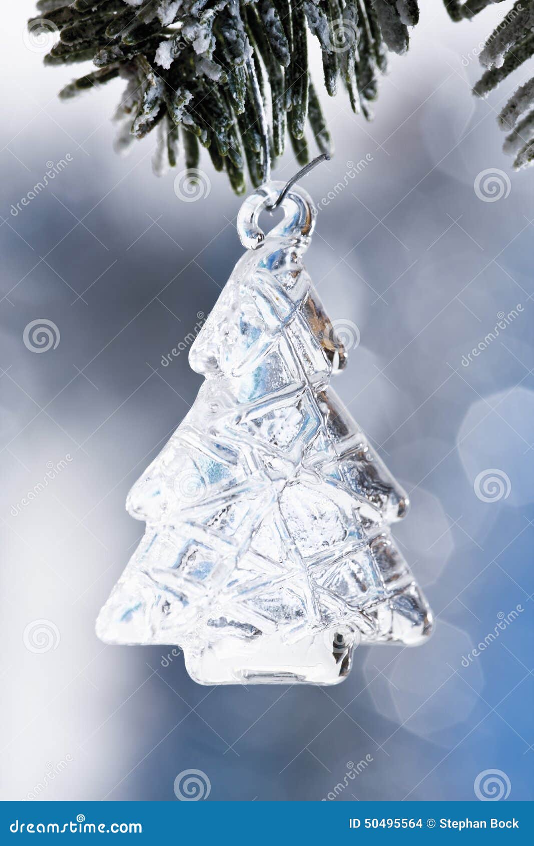 Pineshaped Christmas Tree Decoration Hanging from Pine Twig Stock Photo Image of hanging