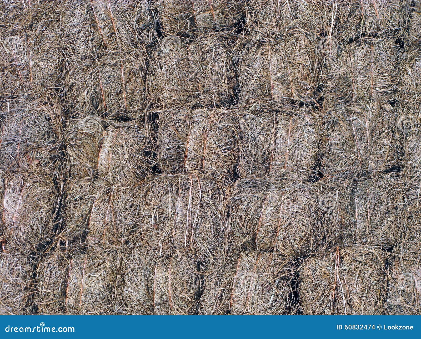 Pine Straw Bales. stock photo. Image of grungy, allover 60832474
