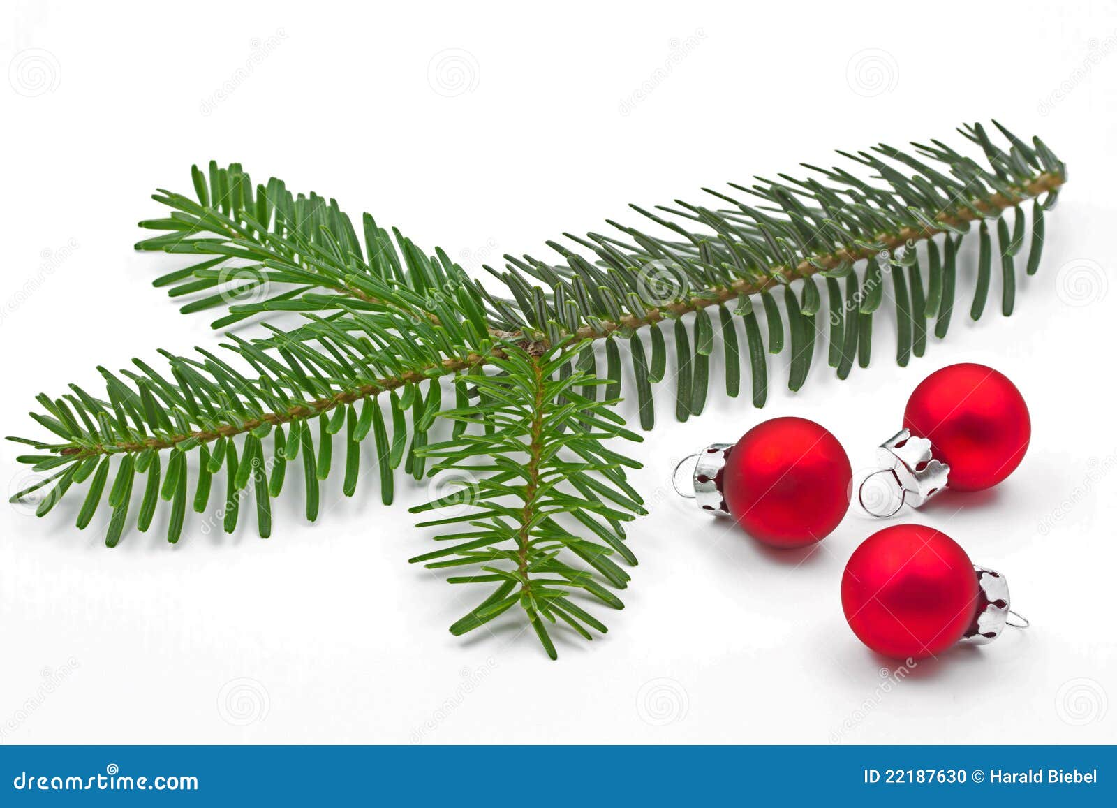 Pine Tree Branch with Christmas Balls Stock Photo Image of macro, green 22187630