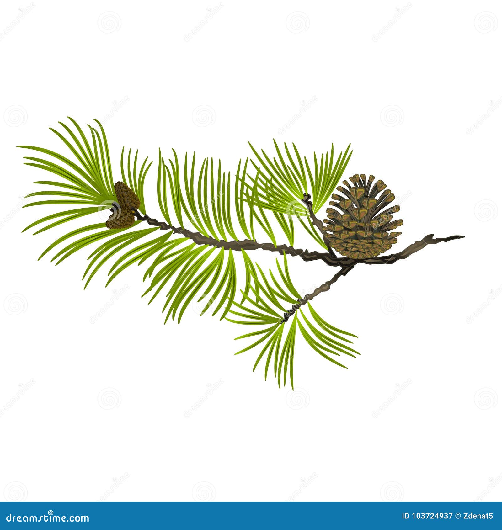 pine tree branch clip art