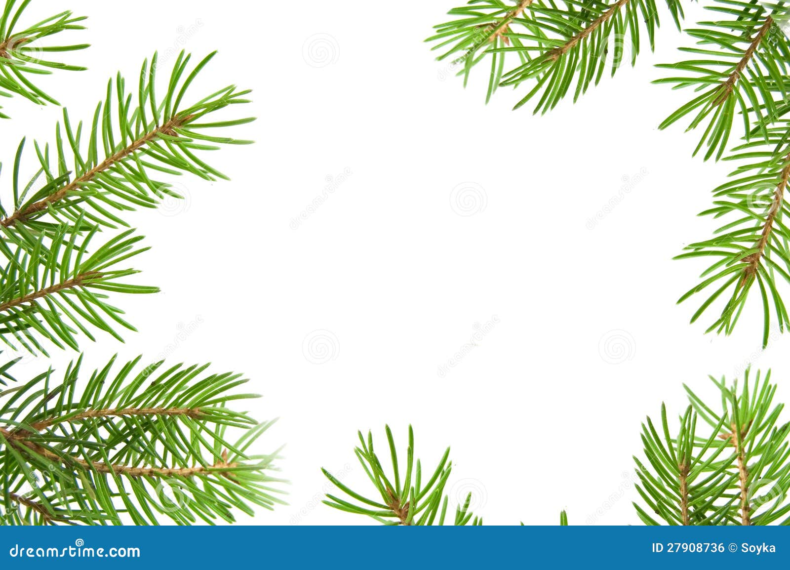 clipart tree branch borders - photo #28