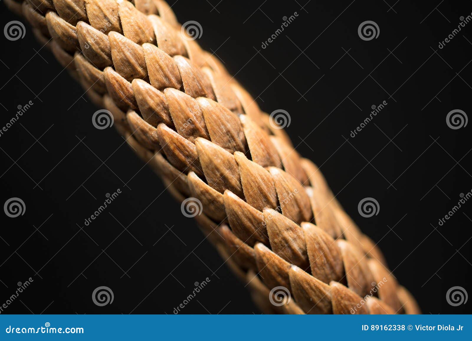 pine tree branch macro photo