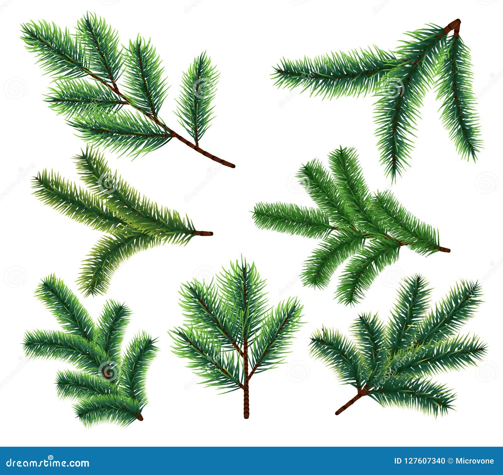 pine tree branches. christmas fir tree branch.  xmas decorarion s