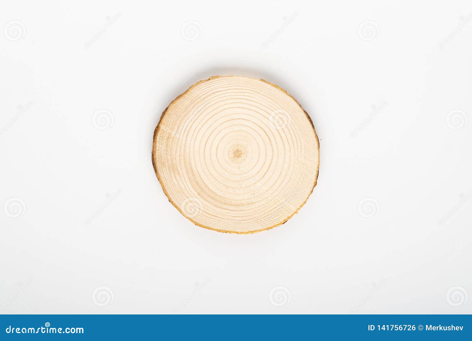 pine tree cross-section with annual rings on white background. lumber piece close-up, top view, .