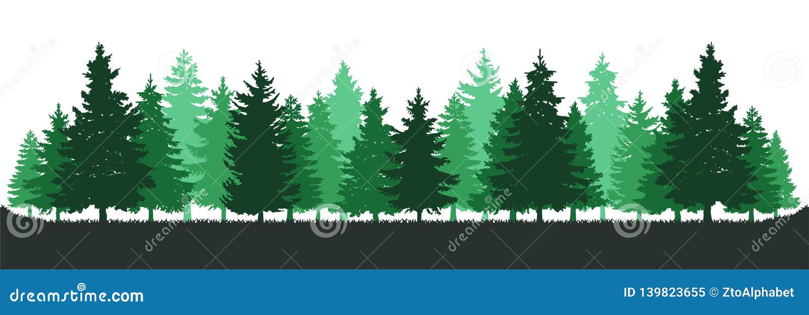 Green pine in cartoon style. Forest traditional tree. Colorful PNG