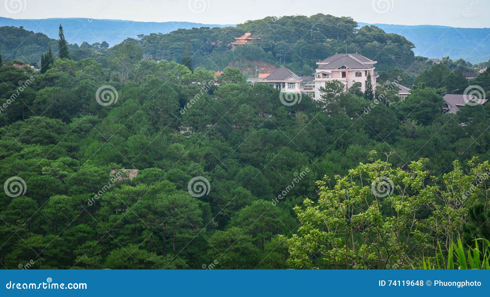 Pine Tree Hill with Villas in Dalat, Vietnam Stock Photo Image of