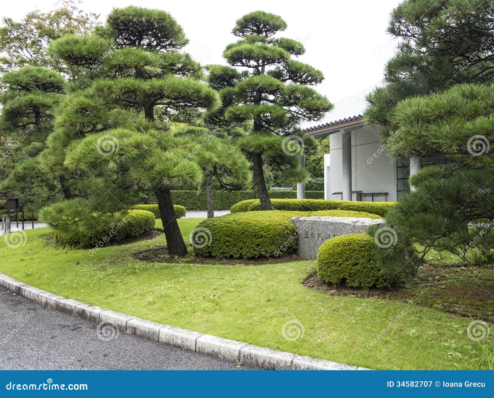 Pine Trees In Japanese Garden Stock Image Image Of Tokyo Palace