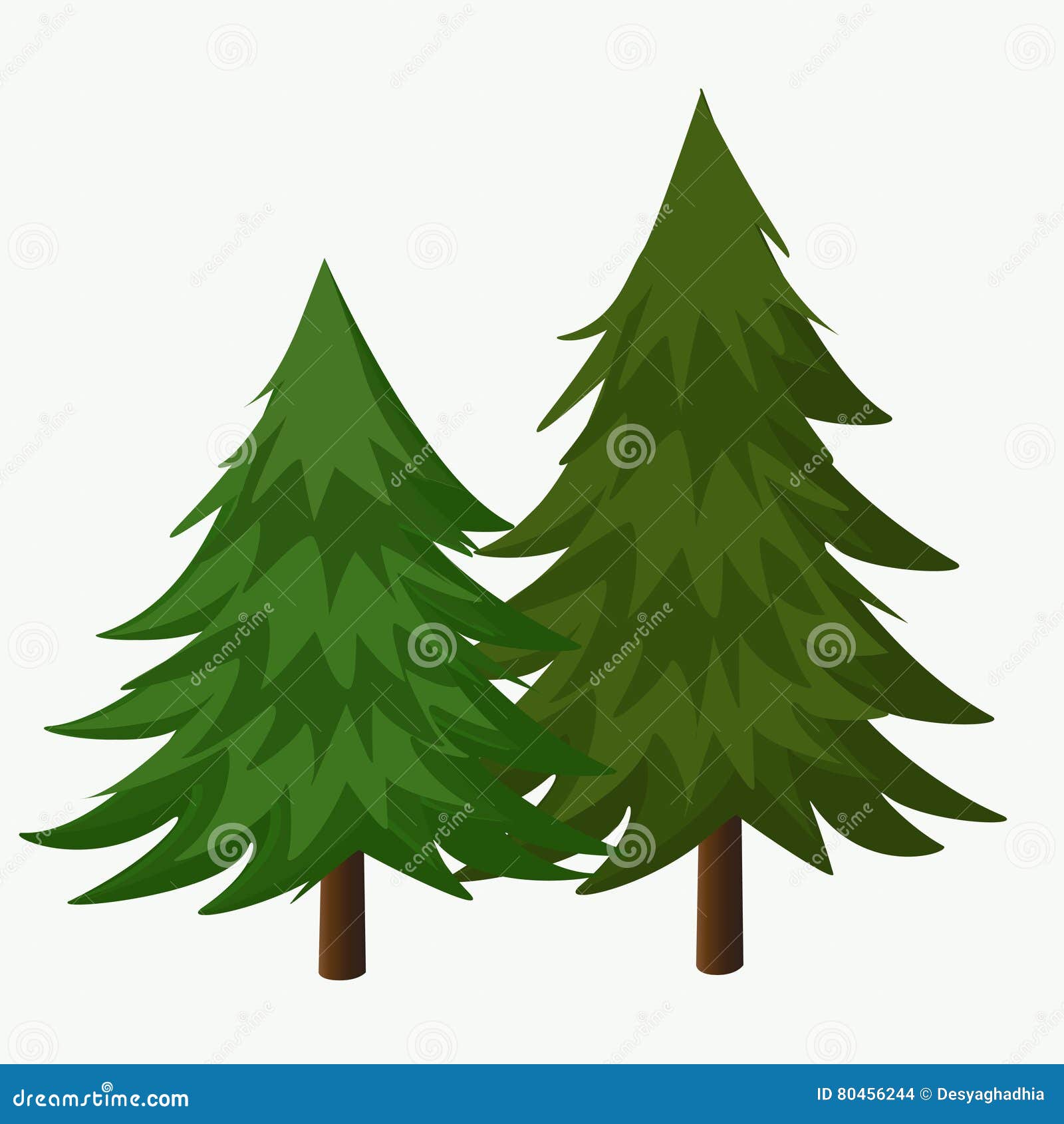 pine trees  .coniferous tree.