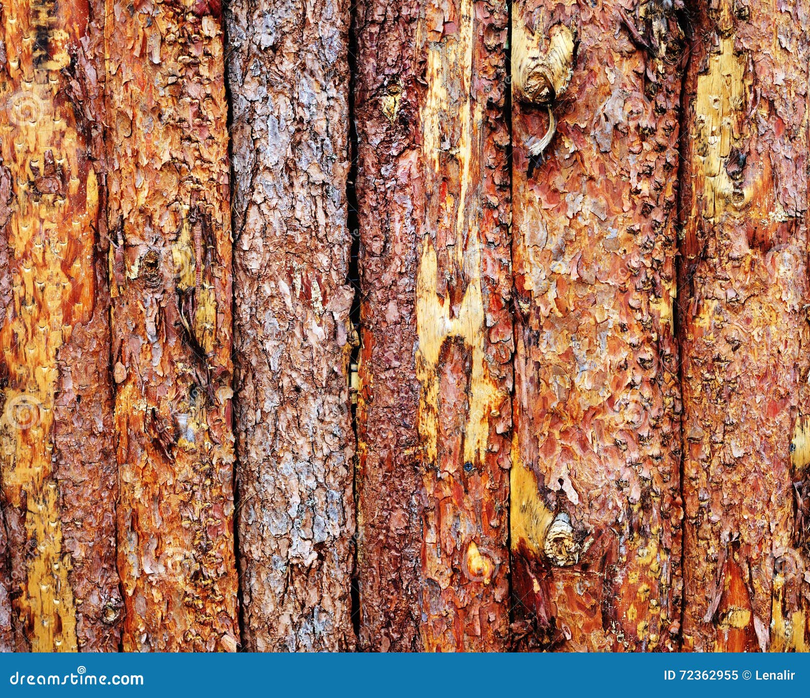 Pine wood fence stock image. Image of wood, fence, pine 72362955