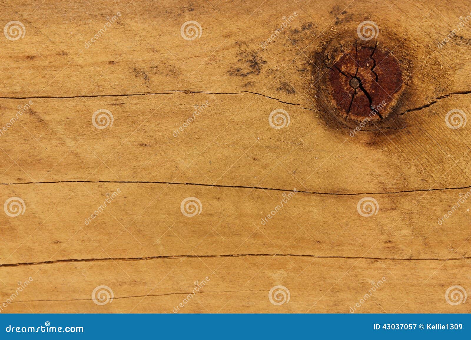 Pine wood knot stock image. Image of knot, wood, sandy 43037057