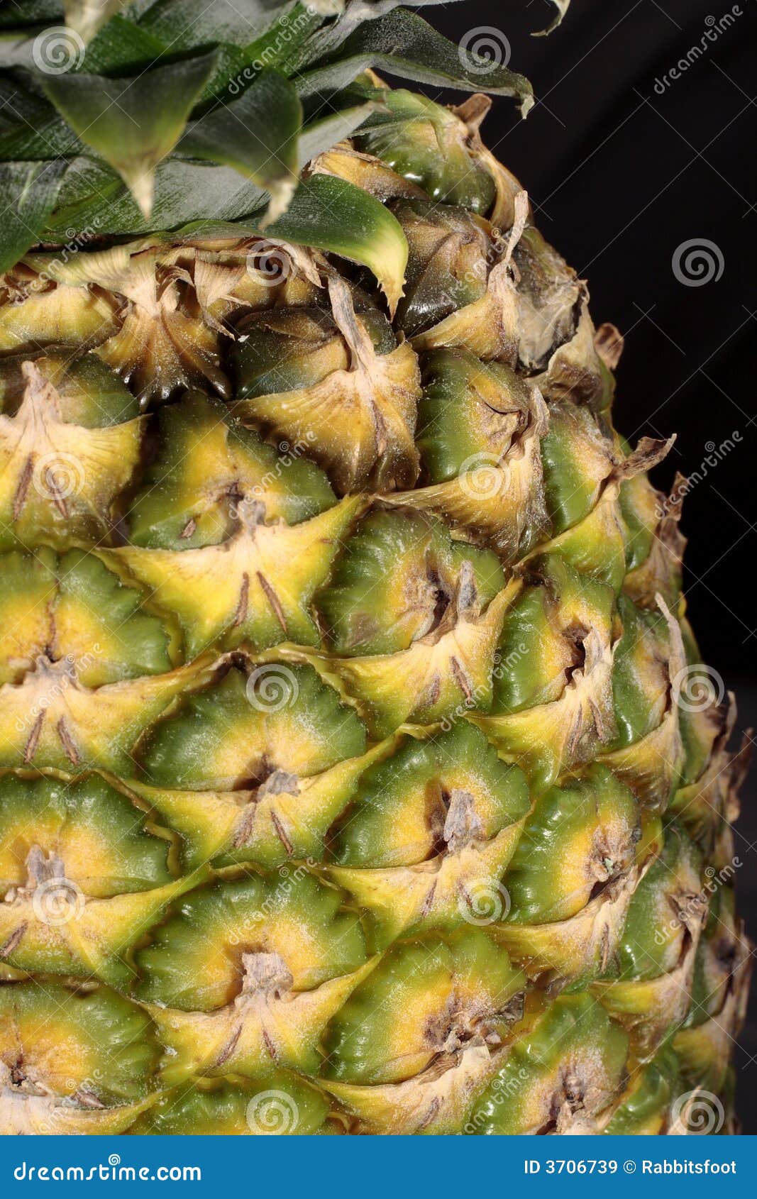 Pineapple stock image. Image of outside, detail, juicy - 3706739