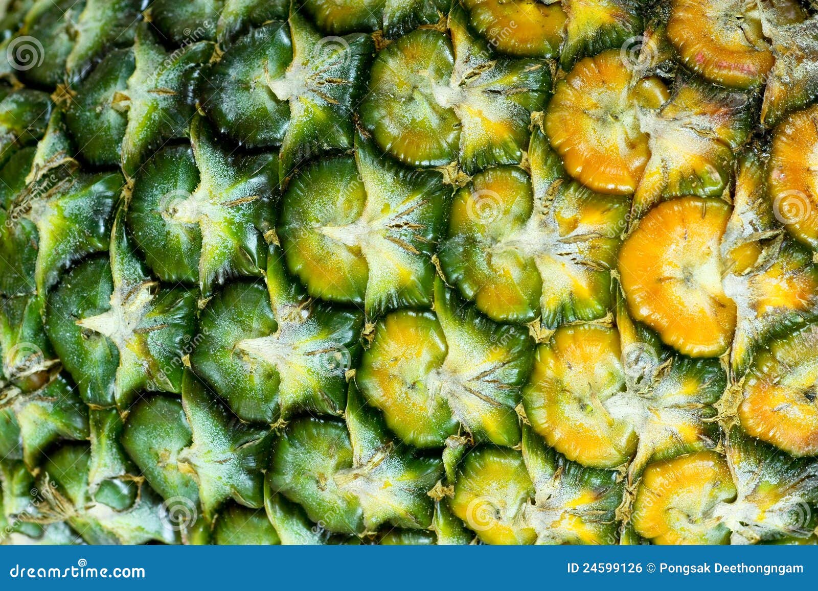 Pineapple background stock photo. Image of food, fruit 24599126