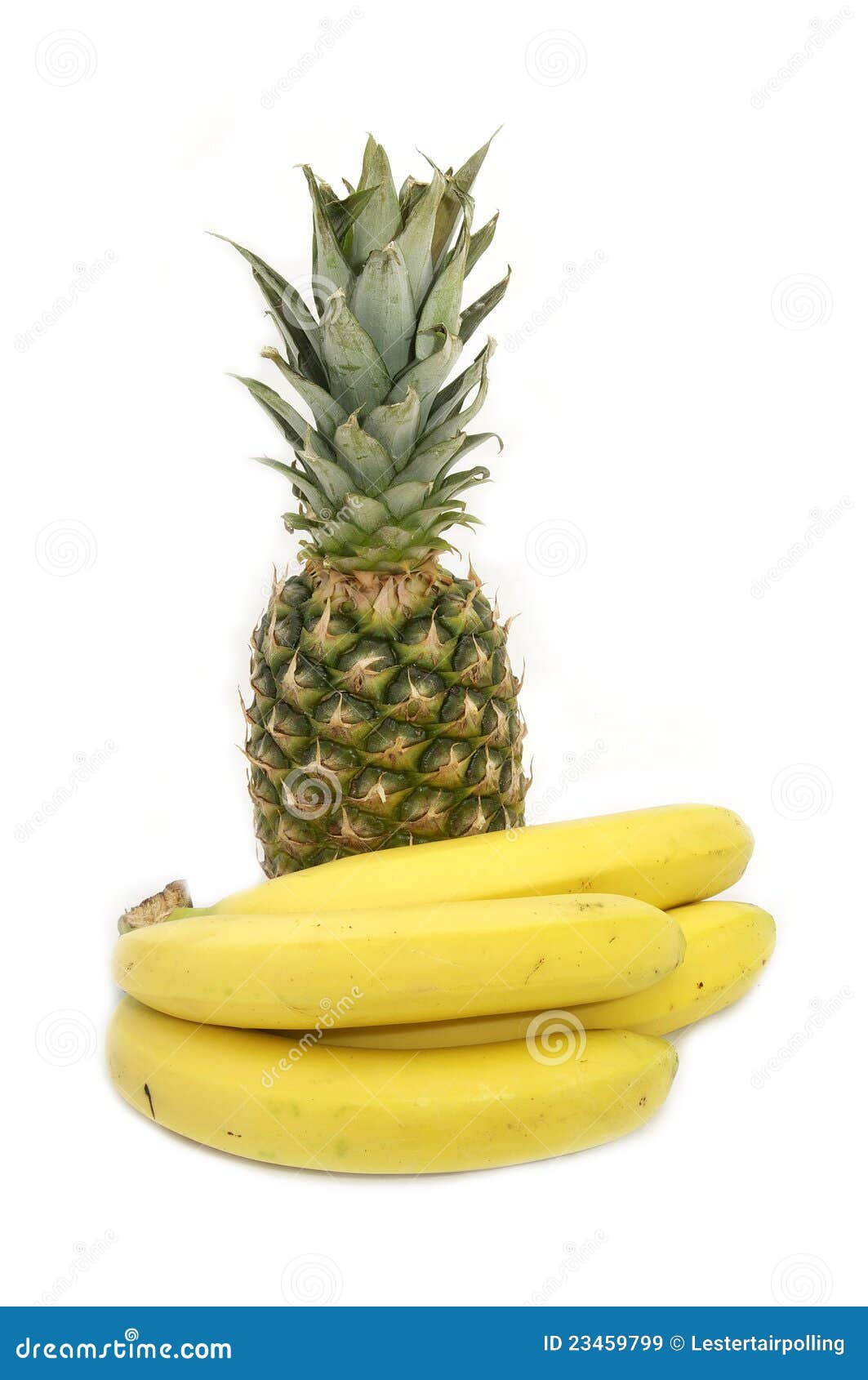 Pineapple and Banana Branch Stock Image Image of sugar, insulator