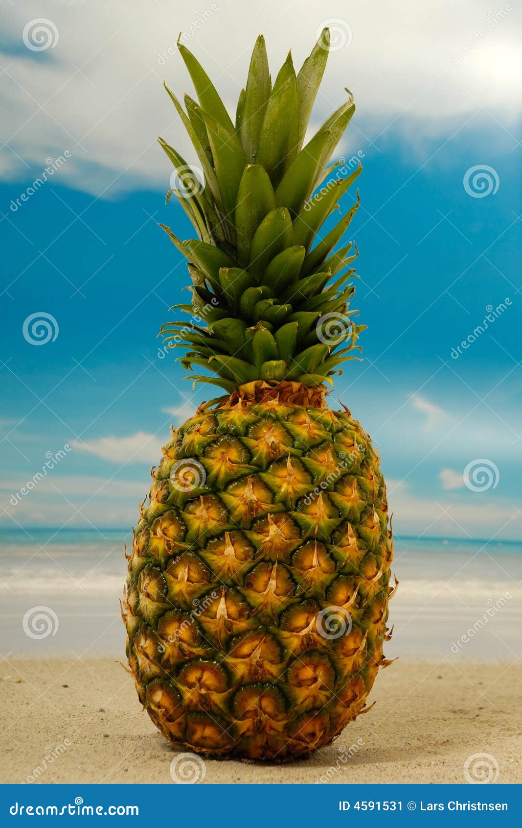 Pineapple on beach stock image. Image of close, horizon 4591531