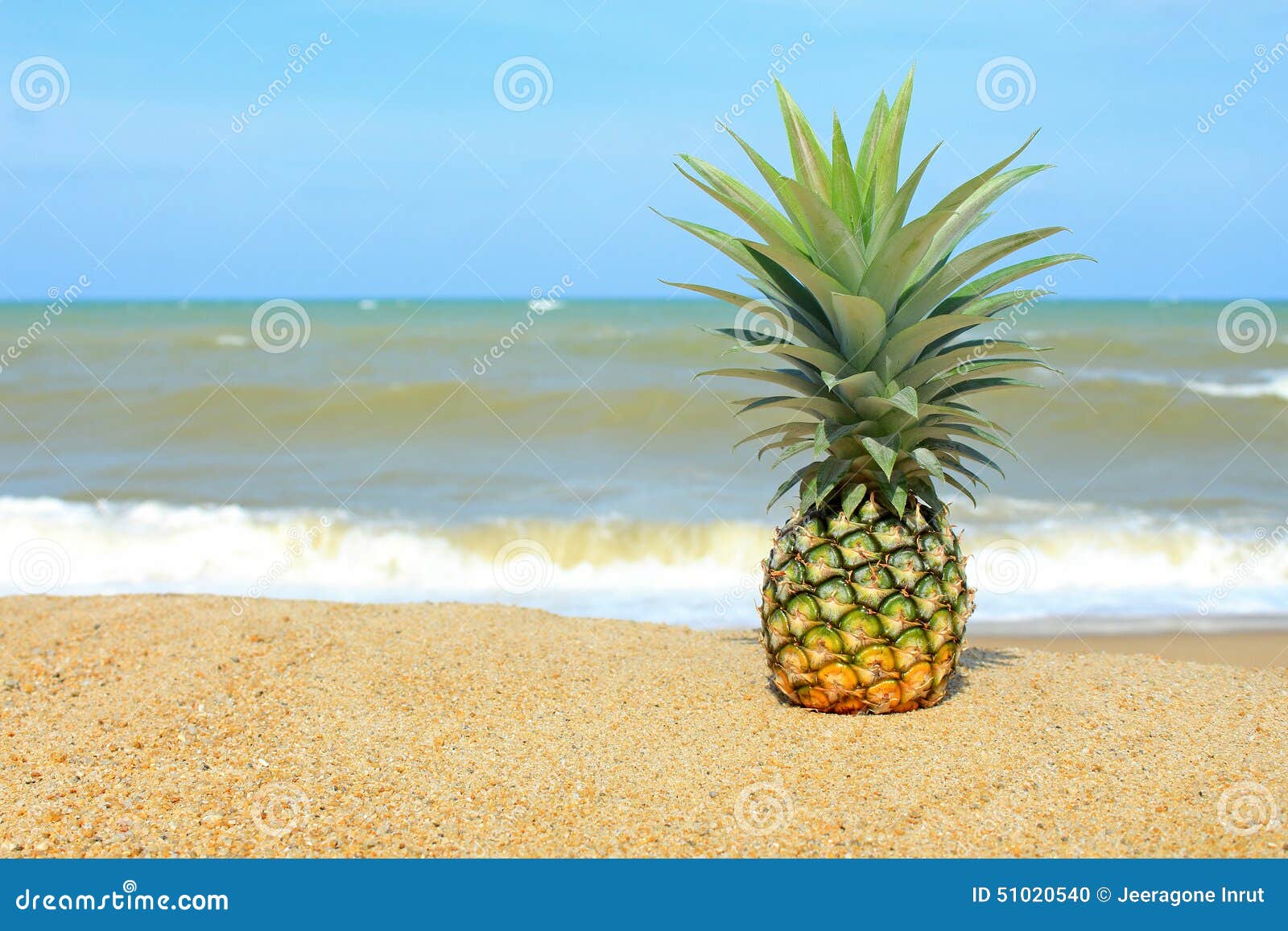 Pineapple on the beach stock photo. Image of wave, beach 51020540