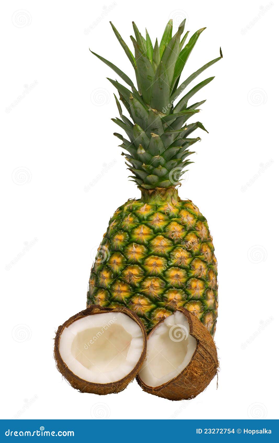 Pineapple And Coconut Isolated Stock Photo - Image of closeup