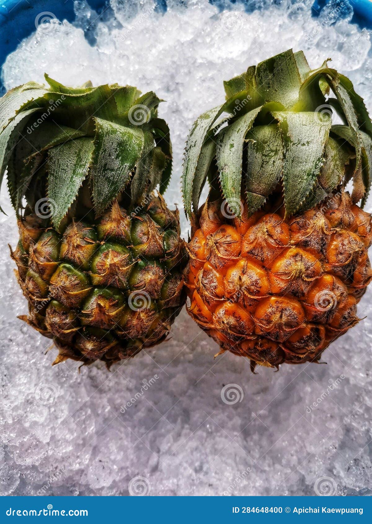 Pineapple with cold stock photo. Image of autumn, herb 284648400