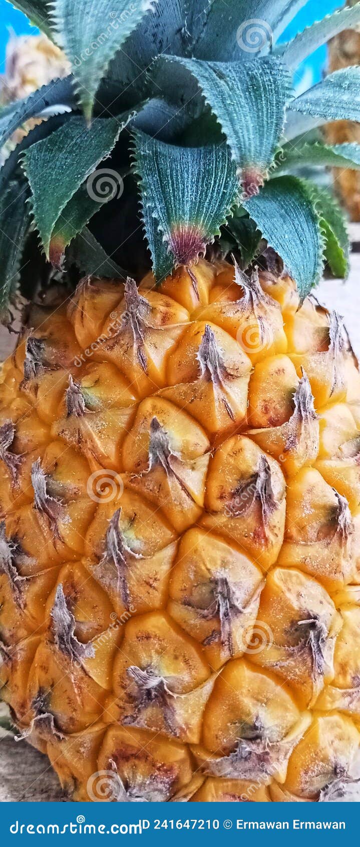 Pineapple Contains Lots of Vitamins Stock Photo Image of food, lots