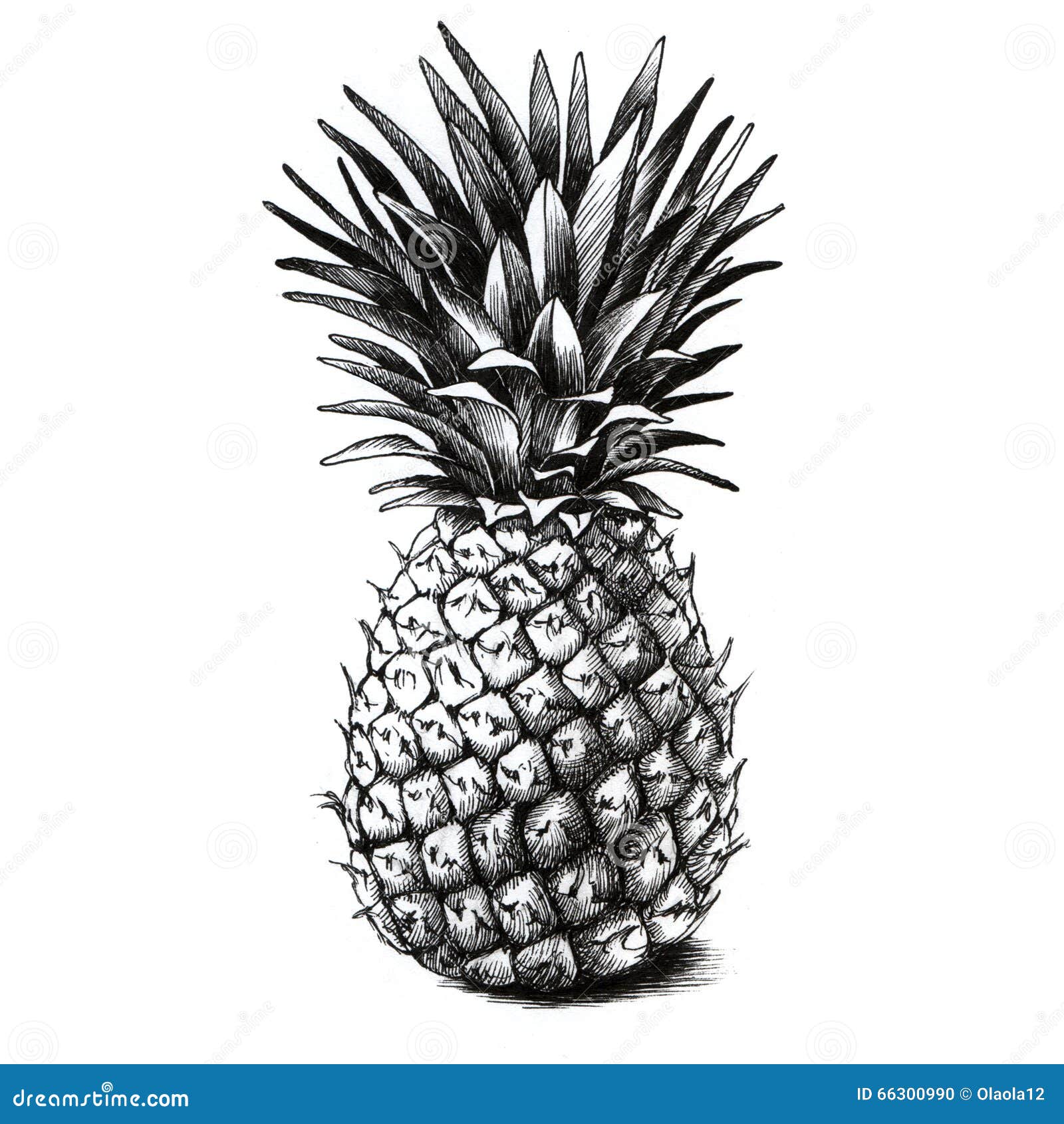 Simple pineapple cute doodle drawing Royalty Free Vector