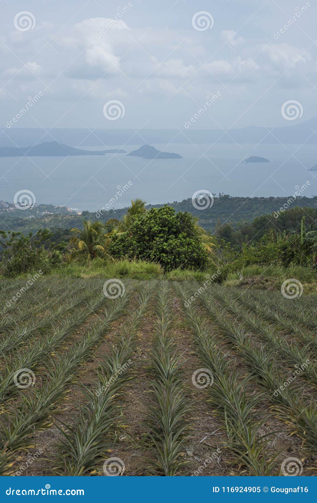 Taal Volcano Philippines Stock Image