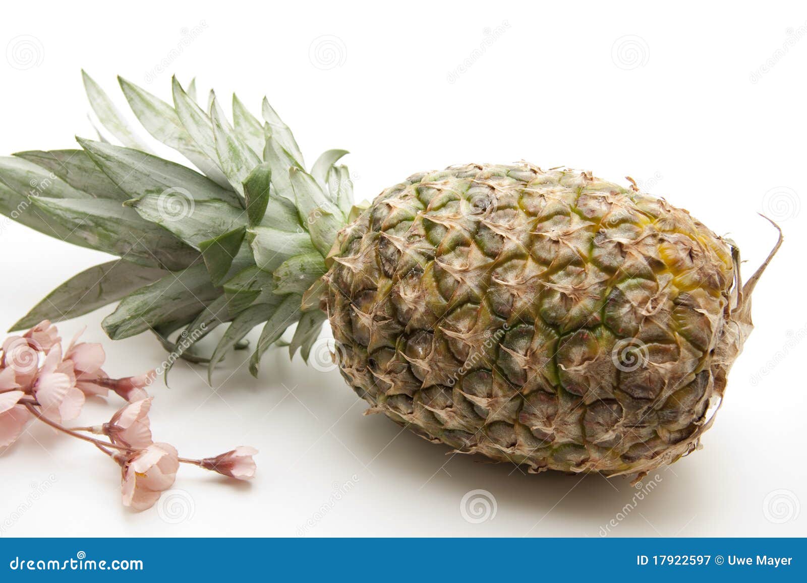 Pineapple with flower stock image. Image of exempted 17922597
