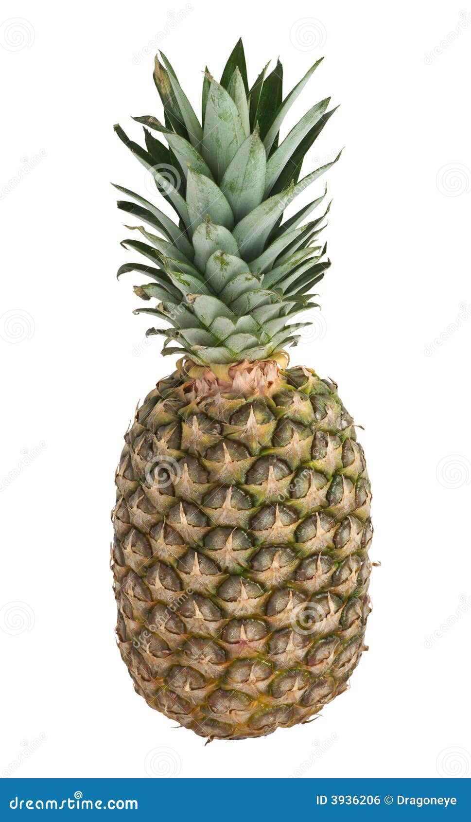 Pineapple fruit cutout stock photo. Image of background - 3936206